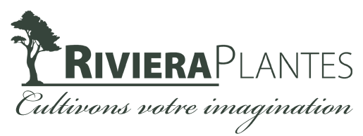 Riviera Plantes